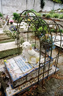 Graves: Pet CEMETERY - Dog grave