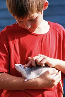 Choosing: Pet RAT - being held by boy