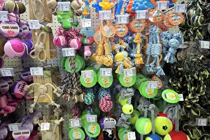 Shops: Pet Shop selling dog toys