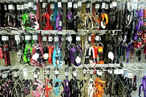 Shops: Pet Shop selling leashes and collars