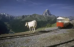 Trains: The Petit train d'Artouste France