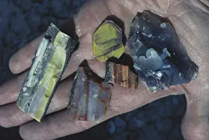 Pieces: Petrified Wood