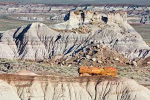 Petrified: Petrified wood, Badlands, Petrified Forest National