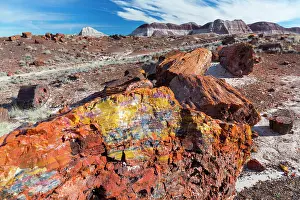 Petrified: Petrified wood, Petrified Forest National Park