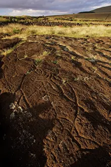 Representing: Petroglyph of Papa Tataku Poke, representing a