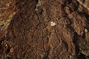 Representing: Petroglyph of Papa Tataku Poke, representing a