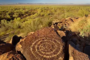 Engraving: Petroglyphs in desert - ancient Petroglyphs and