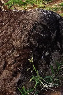 Petroglyphs: Petroglyphs of the god Make Make. Make Make was