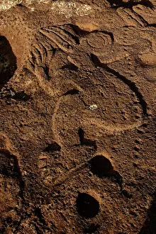 Representing: Petroglyphs of Papa Tataku Poke, representing Tangata