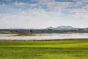 Sergio Arias: Petrola Lagoon with wheat fields and Flamingos