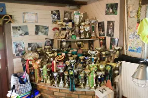 Rosette: Pets - trophies & prizes from dog & cat competitions