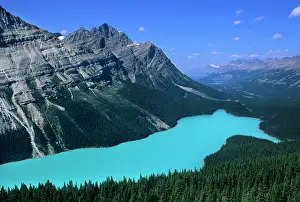 Cool: Peyto Lake viewed from near Bow Pass along