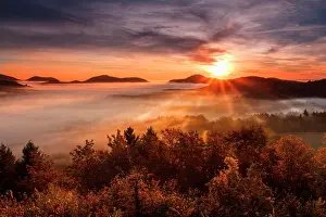 Wald: Pf&, x4b3a;er Wald, Fog, Sunrise, Palatinate, Rhineland-Palat