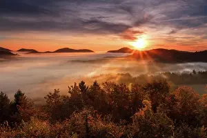 Wald: Pflzer Wald, Fog, Sunrise, Palatinate, Rhineland-Palatinate