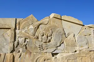 Alyssa Giustozzi: Phases of the Sky carving, Persepolis, Iran