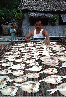 Kallen Marc Ferrero: Philippines - fisherman drying fish in sun
