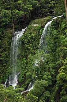 Surrounding: Philippines, Tabinay, waterfall in jungle