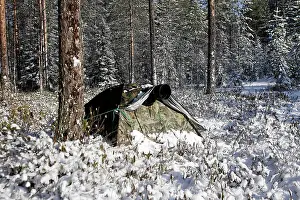 Hides: Photoghrapher - tent / hide in forest to photograph