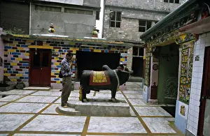Sculptures: Photographer and Nandi Mandi Himachal Pradesh India