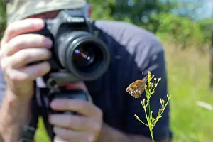 Gatekeeper: Photographer - photographing a Gatekeeper Butterfly