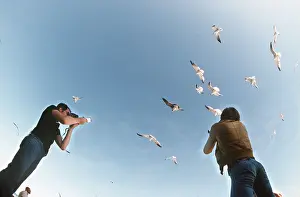 Gulls: PHOTOGRAPHER - photographing gulls in flight