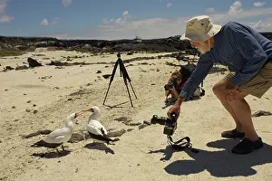 Boobies: Photographers