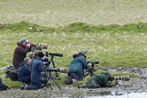 Photographers: Photographers - group photographing Red-necked