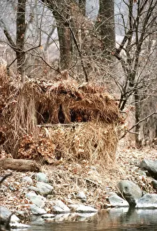 Hide: PHOTOGRAPHIC HIDE - at water