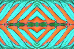 Dorsal: PHOTOMONTAGE, detail of dorsal fin, parrot fish