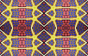 Constant: PHOTOMONTURE, Graphic structure on underside of