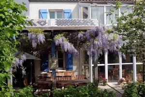 Hung: Photovoltaic panels and glycine House bioclimatic