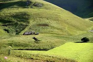 Piano: Piano Grande plain, Monte Sibillini National Park