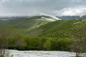 Piano: Piano Grande in spring as viewed from the south