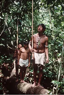Hunter: PIAROA INDIANS - Blowpipe Hunting