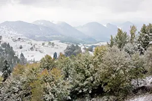 Piatra: The Piatra Craiulu mountains