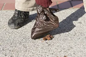 Pick: Pick up a dirt dog with a plastic bag