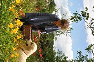 Materials: Pick up of Hemerocalle passed flowers in a garden
