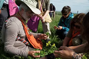 Picking: Picking edible wild plants with Guy Laliere