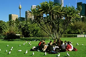 Botanic: Picnickers in Royal Botanic Gardens eyed by seagulls