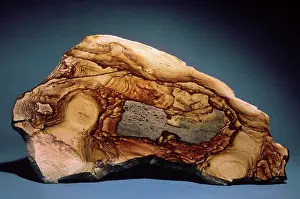 Agate: Picture Jasper