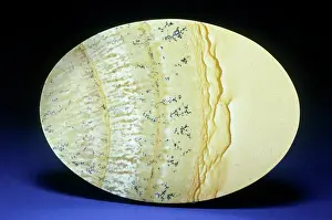 Agate: Picture Jasper