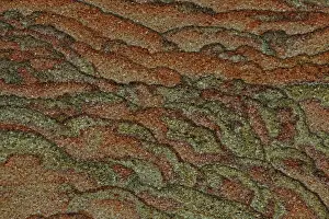 Designs: Picture Sandstone Detail - Northern Arizona/Utah