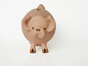Ceramic: Pig - ceramic moneybox