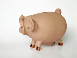 Ceramic: Pig - ceramic moneybox