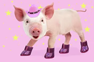 Footwear: PIG - Piglet standing dancing wearing pink boots