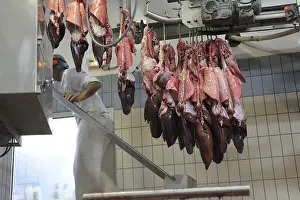 Lanes: Pigs hearts and lungs on a conveyor Rodez France