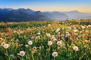Schwyz: Pilatus with Central Swiss Alps, Switzerland, Europe