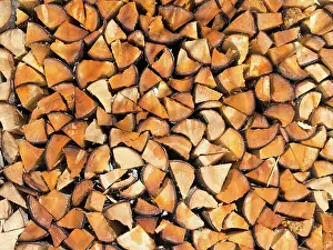 Pile: Pile of fire wood during Winter, Germany