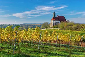 Pilgrimage: Pilgrimage Church of Maria im Weingarten, Volkach