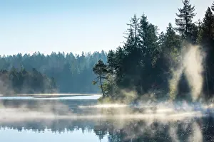 Smooth: Pines and spruces line the shore of the mirror-smooth Etang